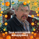 Валерий Тихомиров