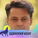 Дмитрий Брутов