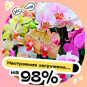 Цветы 💐 ОРХИДЕИ