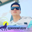 bek shox gaffarov