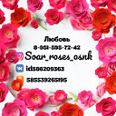 Soarroses Мыльные Букеты Осинники