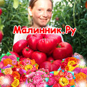 Малинник Ру коллекционные семена