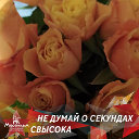 Светлана Дунаева