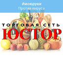 Торговая сеть Юстор