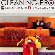 Cleaning Pro