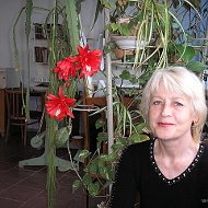 Елена Синицкая