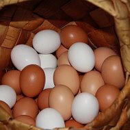 Яйца От
