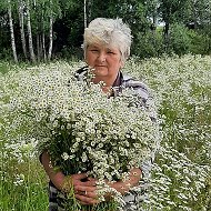 Елена Василенкова