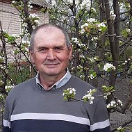 Владимир Королёв