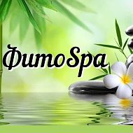 Студия Фитоspa