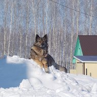 Александр Иванов