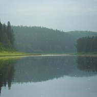 Алексей Сухих