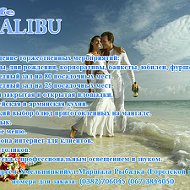 ★★★cafe Malibu★★★