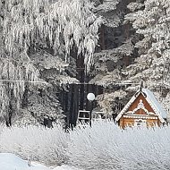 Галина Кондратьева