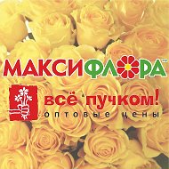 Макси Флора