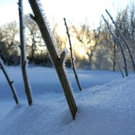 Виталий В