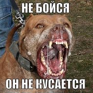 Василий Николаевич