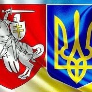 Дзяніс Хаміцэвіч