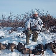 Константин Вануйто