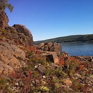 Марина Городилова