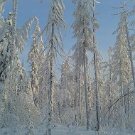 Алексей Миронов