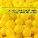Organic Noise From Ibiza - Fantastic Elements