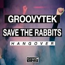 Groovytek Save The Rabbits - Hangover Original Mix