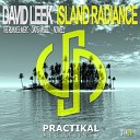 David Leek - Island Radiance Dave Hassell Remix