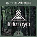 Tritemyo - The Last Tribes Original Mix