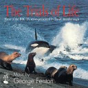 George Fenton - The Pirates Frigate Birds Attacking Tropic…