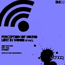 Perception of sound - Lost In Wood Original Mix