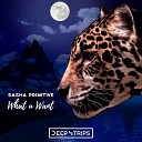 Sasha Primitive - What U Want Original Mix
