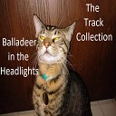 Balladeer in the Headlights - Baa Baa Black Sheep