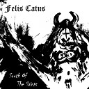 Felis Catus feat Alessandro Riva - The Sky Falls on Me