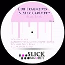 Dub Fragments Alex Carlotto - Hyde Park Dark Pulse Remix