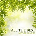 Relaxing Nature Sounds Collection - Wind Song