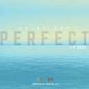 Saint Dru - Perfect Radio Edit