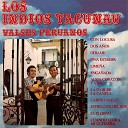 Los Indios Tacunau feat A Polo - Cuando Llora Mi Guitarra