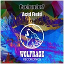 PachandorF - Acid Field Extended Mix