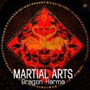Martial Arts Music - Kung Fu