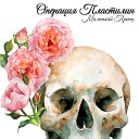 Операция Пластилин - Маленький принц