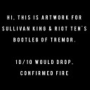 Martin Garrix Dimitri Vegas Like Mike - Tremor Sullivan King Riot Ten Bootleg
