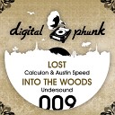 Undersound - Into The Woods