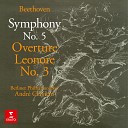 Andr Cluytens - Beethoven Symphony No 5 in C Minor Op 67 II Andante con…