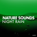 Nature sounds - Light Rain Original Mix