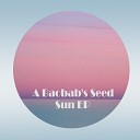 A Baobab s Seed - Red Spinit Original Mix