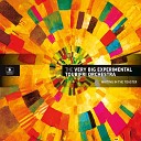 The Very Big Experimental Toubifri Orchestra - Newton Theorie