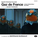 Bertrand Burgalat - Masques d oiseaux