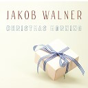 Jacob Walner - Joy To The World