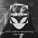 Roxen - Ce i C nt Dragostea AYA Remix